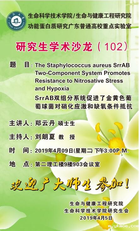 M_N}MP2DFJ{$B91Z3GZO)DN